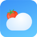 番茄天气预报v2.0.0